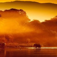Hidden African Safaris That Beat Kenya in 2025 (At 70% Less Cost)