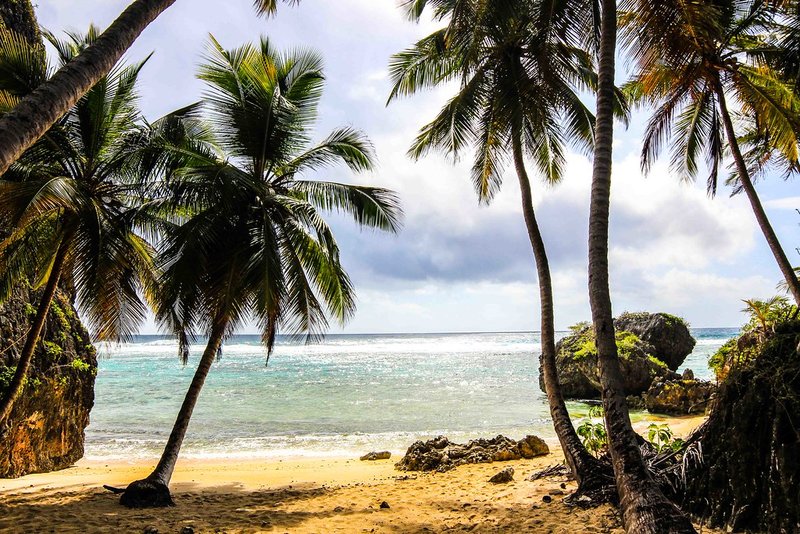 Discover Playa Escondida's unique charm, hidden within a cave on the Marieta Islands.