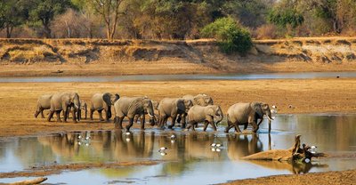 Hidden African Safaris That Beat Kenya in 2025 (At 70% Less Cost)
