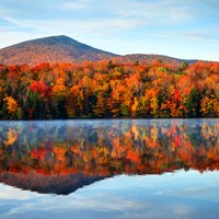 American Cities Europeans Don’t Know (But Should Visit!) – 2025 U.S. Travel Guide